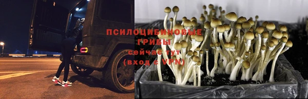 метамфетамин Алексеевка