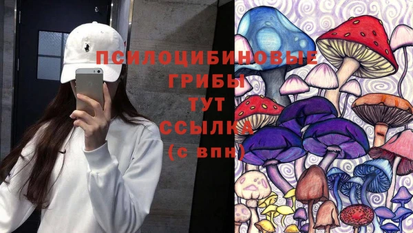соль ск Абаза