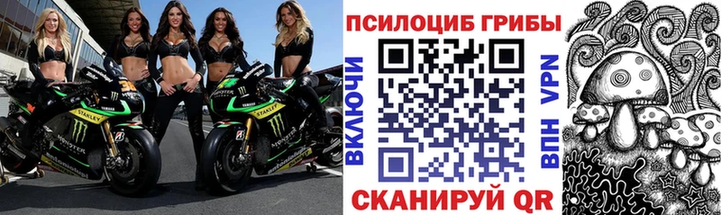 Галлюциногенные грибы мицелий  как найти наркотики  Новосиль 